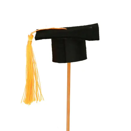 Graduate auf Stab schwarz L50cm 6.5cm