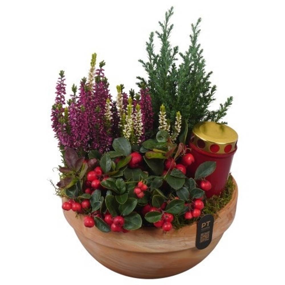 Garten.Arr PTAH3081 Allerheiligen T23 H034