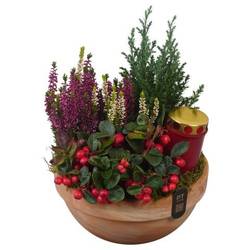 Garten.Arr PTAH3081 Allerheiligen T23 H034