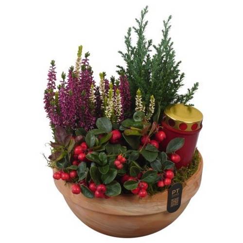 Garten.Arr PTAH3081 Allerheiligen T23 H034