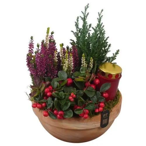 Garten.Arr PTAH3081 Allerheiligen T23 H034