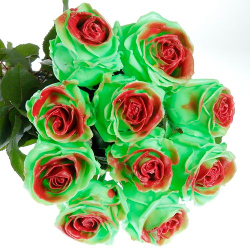 Rose minze/rot Wachs (W31) 60cm