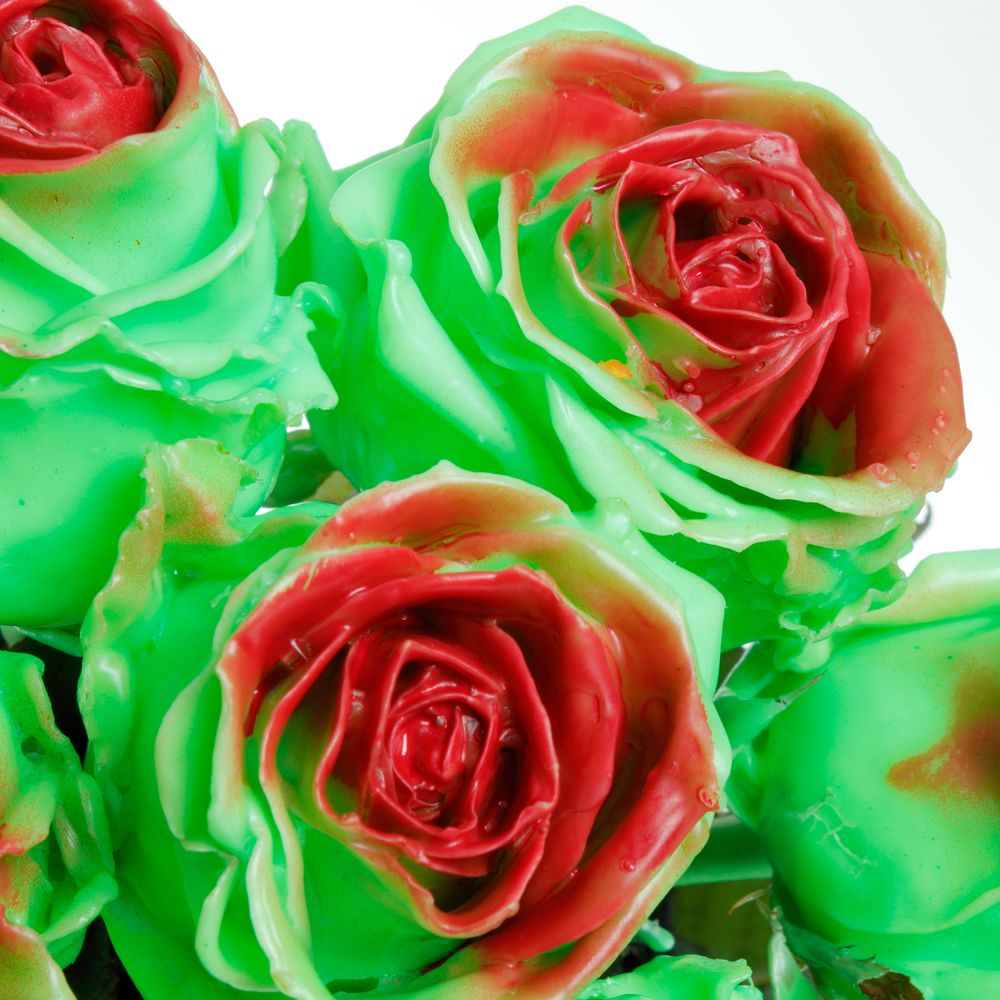 Rose minze/rot Wachs (W31) 60cm