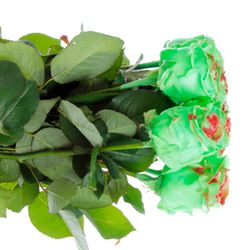 Rose minze/rot Wachs (W31) 60cm
