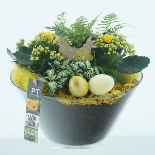 Kal.Arr CC269 Ostern T26 H027