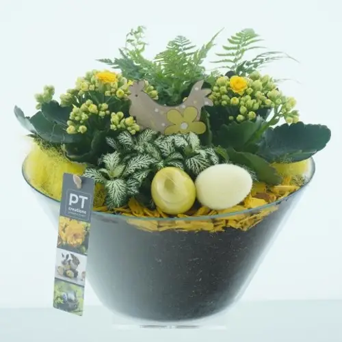 Kal.Arr CC269 Ostern T26 H027