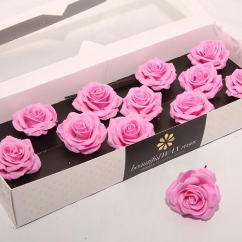 Seiden Wachs Rose rosa D10cm (9440)