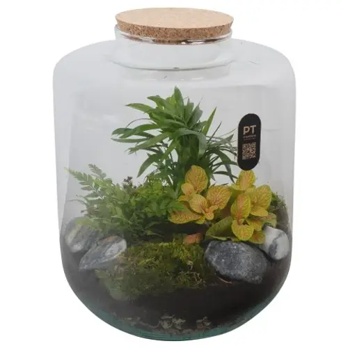 Flor.Arr PTTER8126 T22 H030