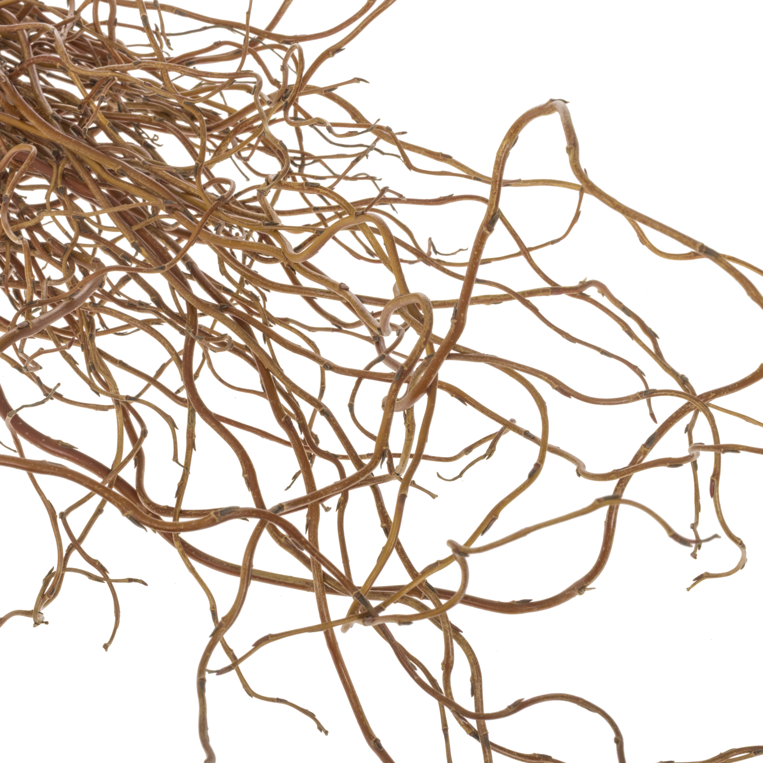 Salix Zweige Darts Snake pro Bund 100cm