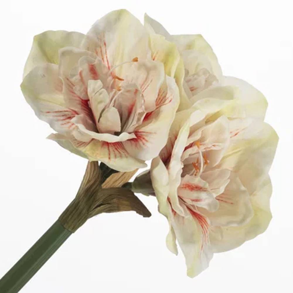 Seiden Amaryllis rot mix L61cm
