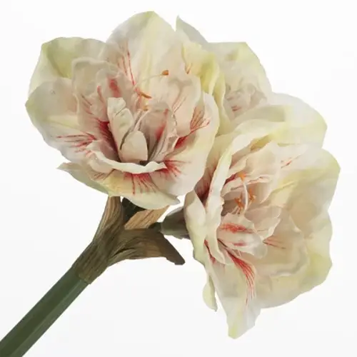 Seiden Amaryllis rot mix L61cm