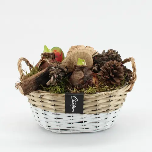 Amaryl.Arr-2521R Herbst rote Bl. T27 H025