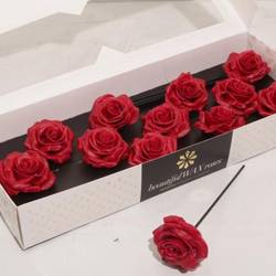 Seiden Wachs Rose Cherry rot D10cm (9282)