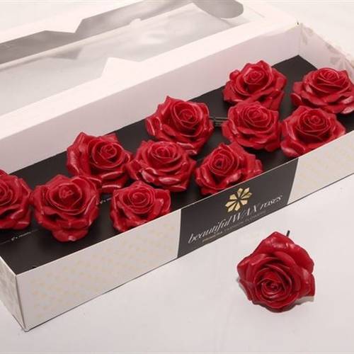 Seiden Wachs Rose Cherry rot D10cm (9282)