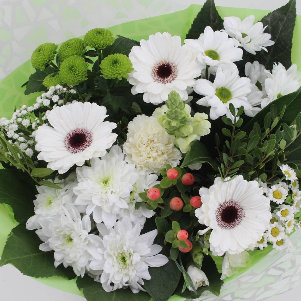 Strauß weiss Germini Muttertag 50cm 18Stiel