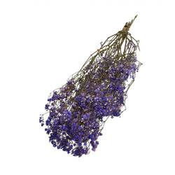 Trocken Gyps violett L70cm 50gr