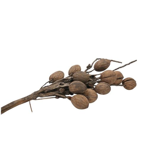 Trocken Kokos Stamm natur L75cm