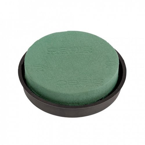 Schale D15cm Oasis® Naylorbase