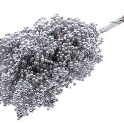 Trocken Pfeffer Berry silber