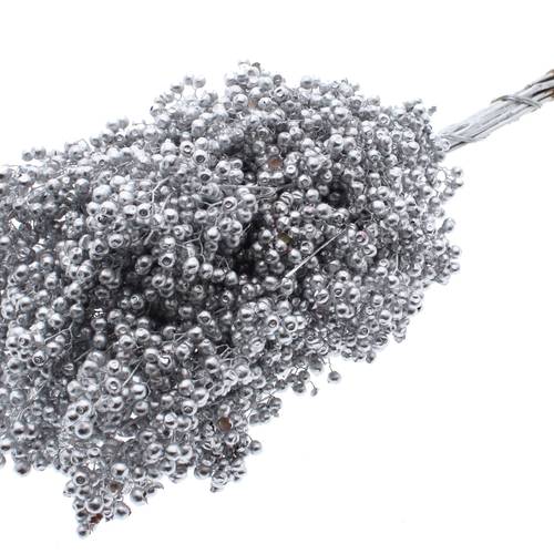 Trocken Pfeffer Berry silber