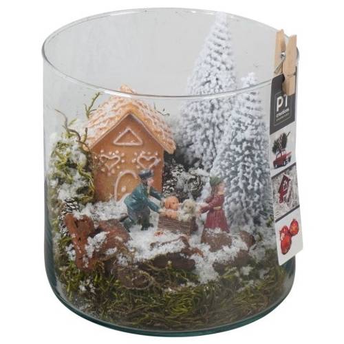 Plagiothec.Arr PTCV7601 Weihnachten T15 H019