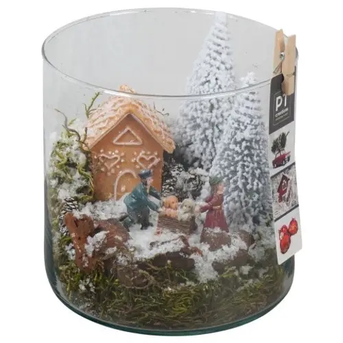 Plagiothec.Arr PTCV7601 Weihnachten T15 H019