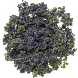Distel blau/grun Symphony 40cm