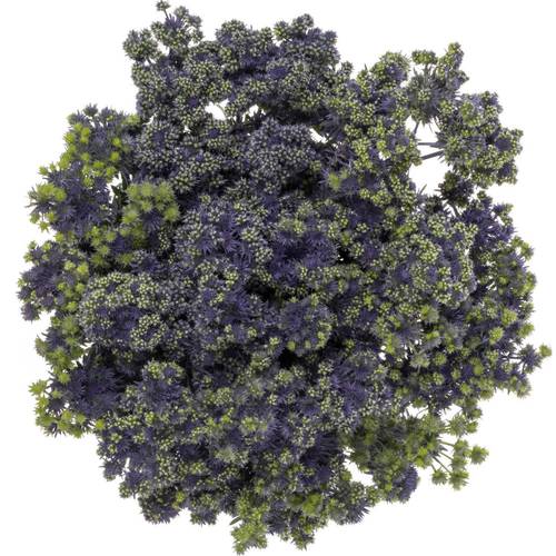 Distel blau/grun Symphony 40cm