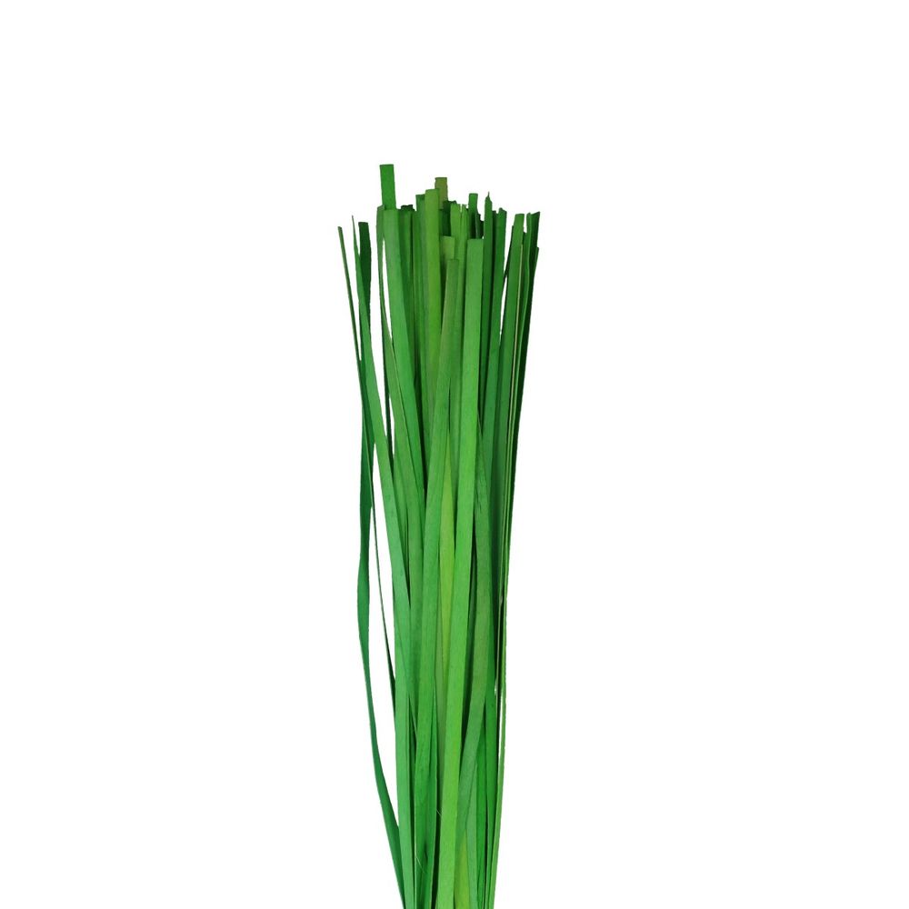Holzband lime L110cm x100