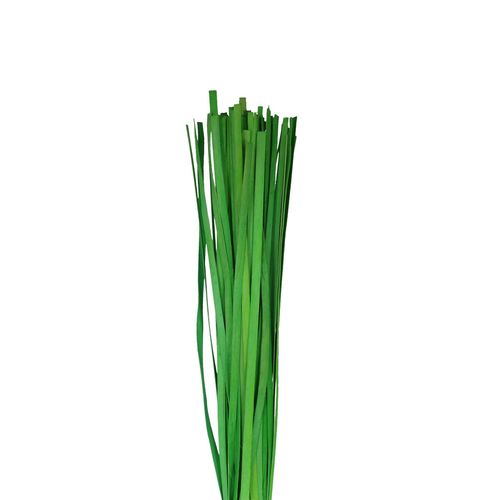 Holzband lime L110cm x100
