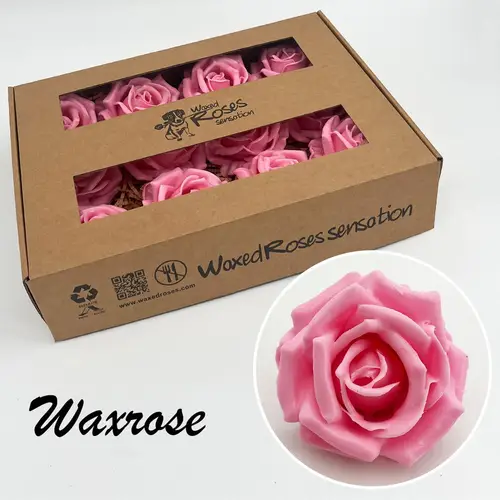 Seiden Wachs Rose rosa 