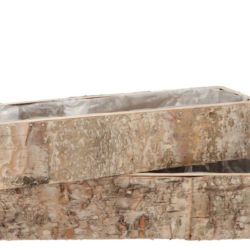 Birke Übertopf Rechteck 2/Set 30x08x07/45x12x9cm