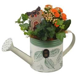 Kal.Arr PTHI3388 Herbst T11 H021