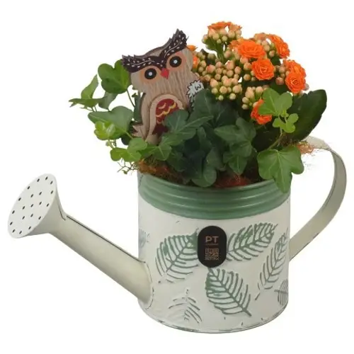 Kal.Arr PTHI3388 Herbst T11 H021