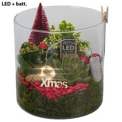 Kal.Arr PTCHR7469 Weihnachten T19 H023