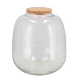 Glas Terrarium +Kork 23x23x25cm