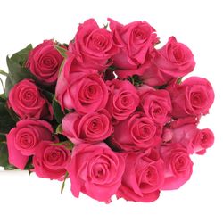 Rose rosa Topaz (Ec) 70cm