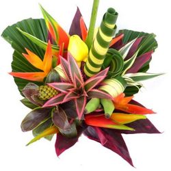 Heliconia Strauß Daiquiri 50cm