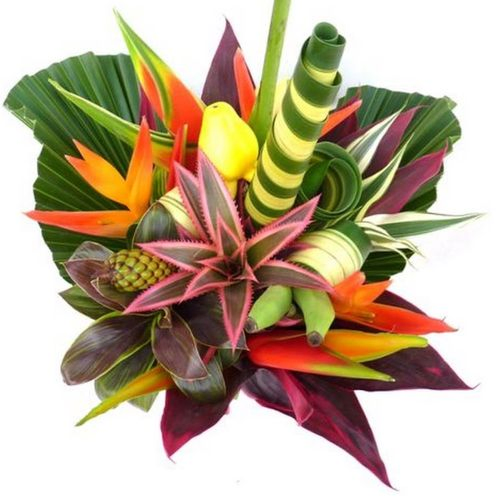 Heliconia Strauß Daiquiri 50cm