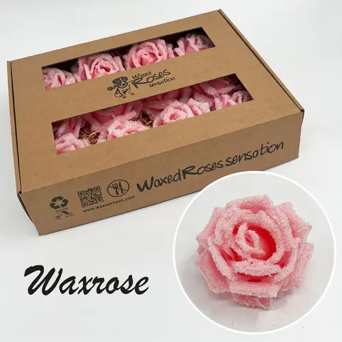Seiden Wachs Rose eisig rosa