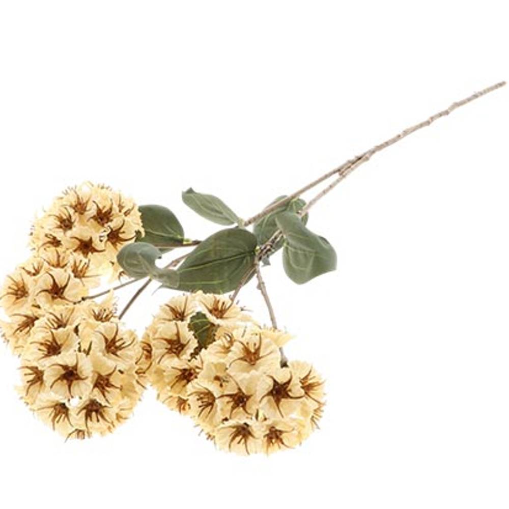 Seiden Scabiosa creme L87cm