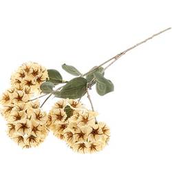 Seiden Scabiosa creme L87cm