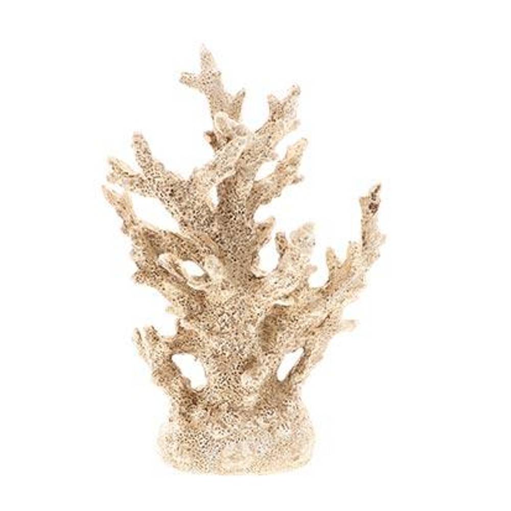 Koralle Ozean weiss 14x06x16cm
