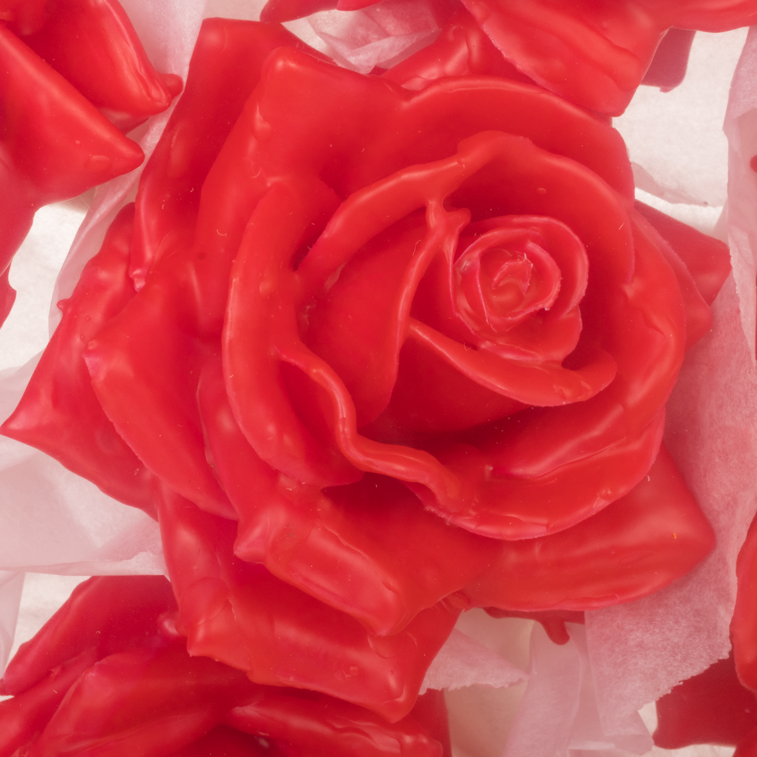 Seiden Wachs Rose im Kiste rot D10-12cm