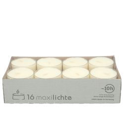 Teelichte maxi weiss 10Stunden x16
