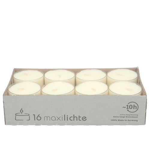 Teelichte maxi weiss 10Stunden x16