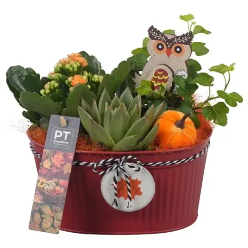 Kal.Arr PTHI5321 Herbst T18 H022