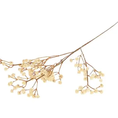 Seiden Gypsophilia creme L65cm