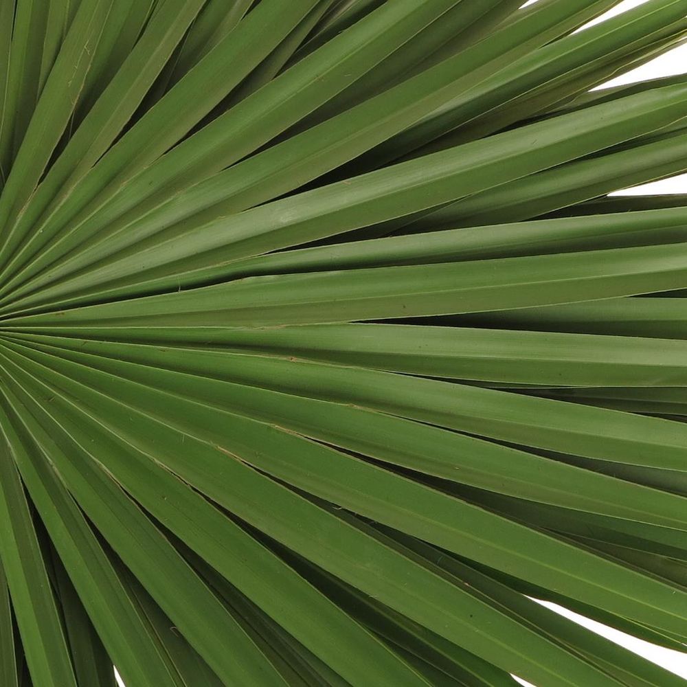 Palmetto grün 55cm
