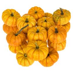 Zierkürbis orange/gelb Spark 8cm